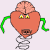 Tom Conlon Avatar