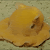 PW Avatar