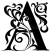 Angana Avatar