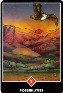 Possibilities - 2 of Wands  from the Osho Zen Tarot Deck