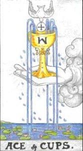 Ace of Cups Ace of Cups