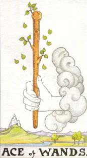 Ace of Wands - Rider-Waite-Smith Tarot