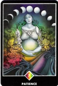 Patience - 7 of Pentacles from the Osho Zen Tarot Deck