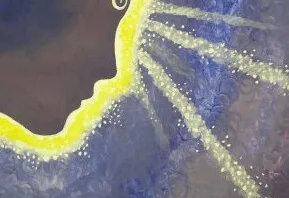 Intuition & Tarot: Trusting your inner voice