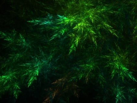 The Suit of Pentacles