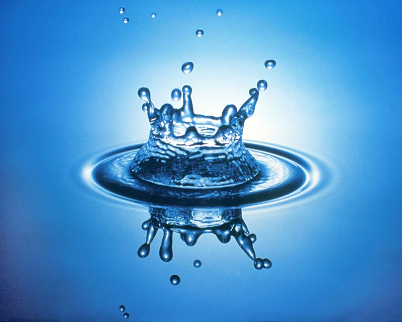 The Suit of Cups: The Journey of Water