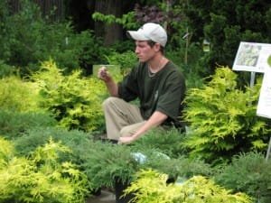 sincere young man knight of pentacles - sincere young man knight of pentacles