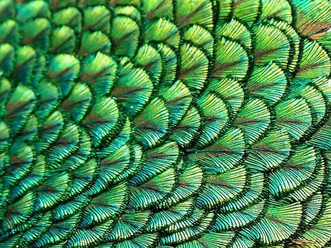 Repeating Cards In A Tarot Reading