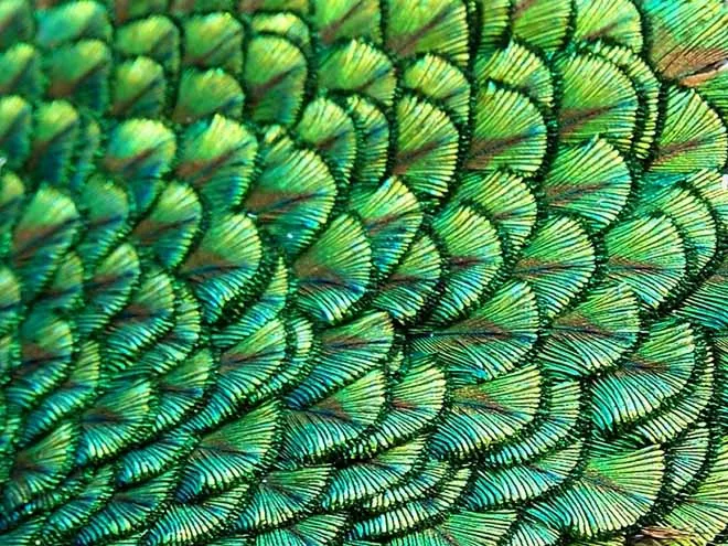 repeating patterns
