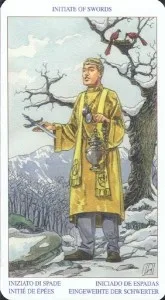 Pagan Tarot - Initiate of Swords