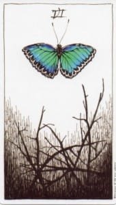 Making and Keeping Your New Years’ Resolutions with your Tarot Cards - 7 6 Wands Wild Unknown - 6 Wands Wild Unknown