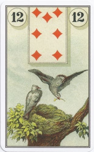 Lenormand Card Meanings: Keywords for All 36 Cards - 13 French Cartomancy Lenormand - 12 - Birds