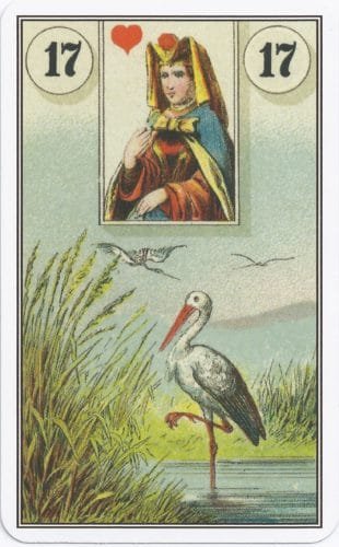 Lenormand Card Meanings: Keywords for All 36 Cards - 18 French Cartomancy Lenormand - 17 - Stork