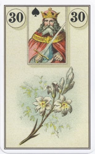 Lenormand Card Meanings: Keywords for All 36 Cards - 31 French Cartomancy Lenormand - 30 Lilies