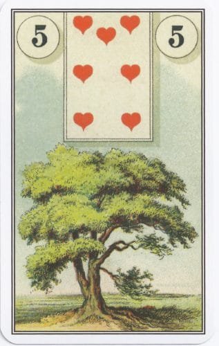 Lenormand Card Meanings: Keywords for All 36 Cards - 6 French Cartomancy Lenormand - 5 - Tree