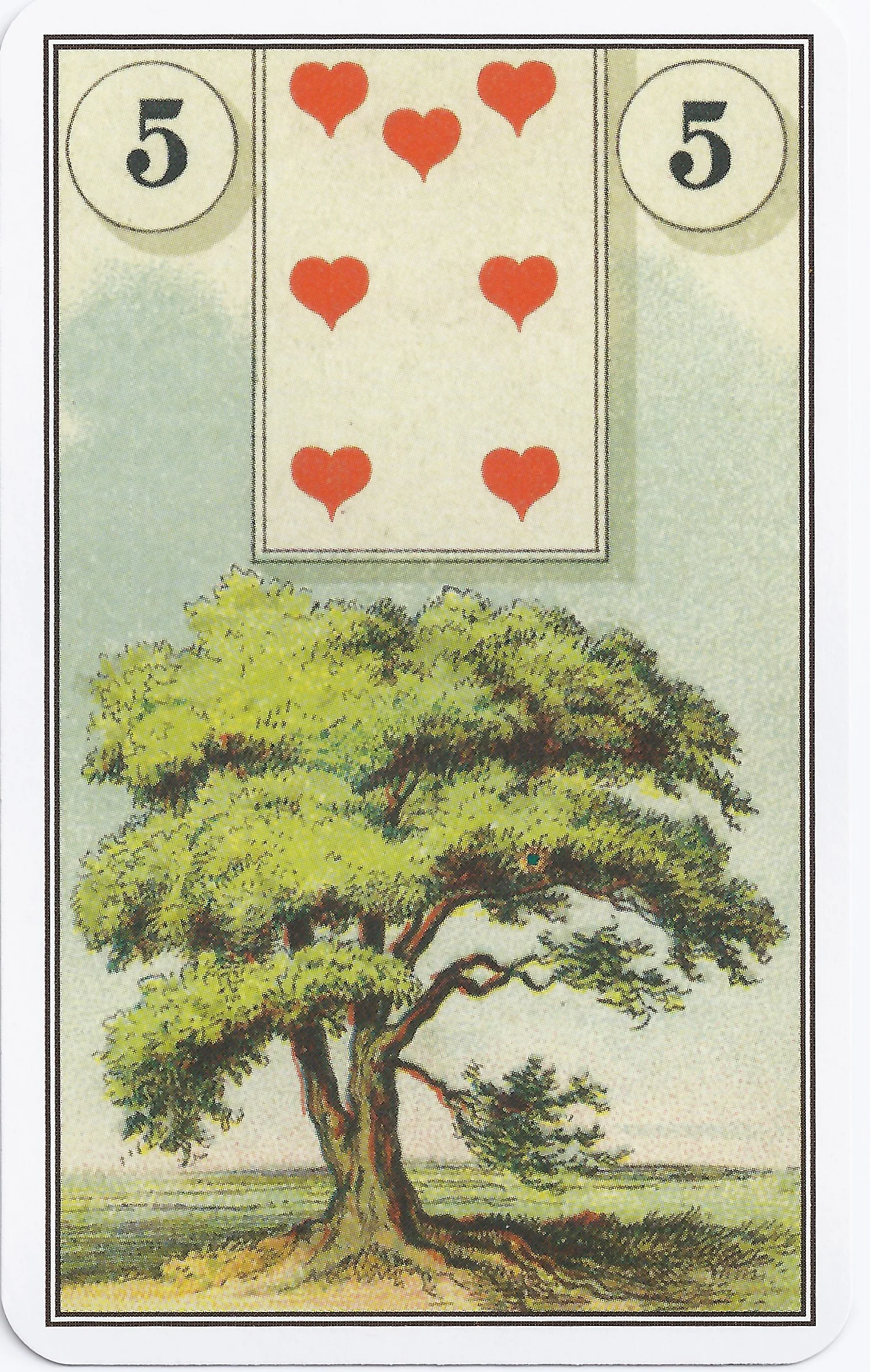 French Cartomancy Lenormand - 5 - Tree