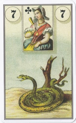 Lenormand Card Meanings: Keywords for All 36 Cards - 8 French Cartomancy Lenormand - 7 - Snake