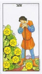7 of Pentacles - Rider-Waite-Smith Tarot