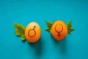 Male or Masculine and Female or Feminine Genders