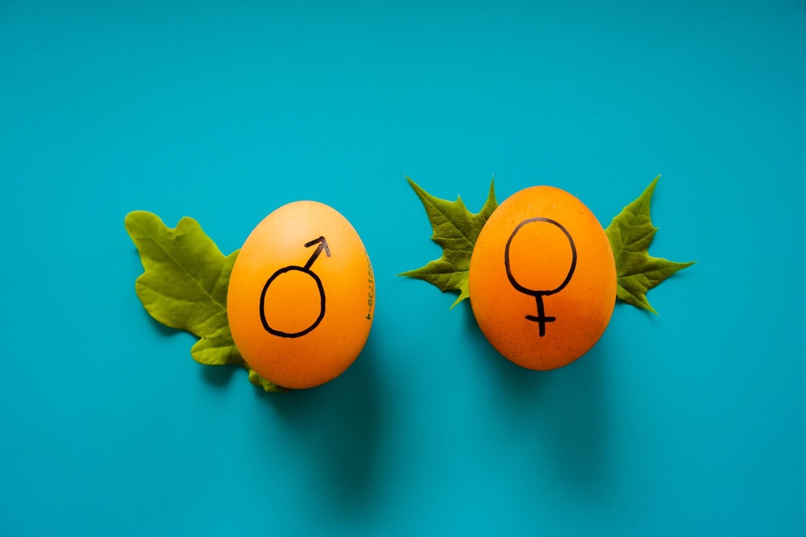 Male and Female Genders in the Tarot Cards