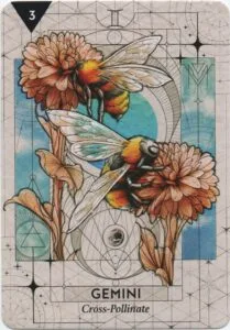 Gemini - Cross Pollinate - StarCodes Astro Oracle