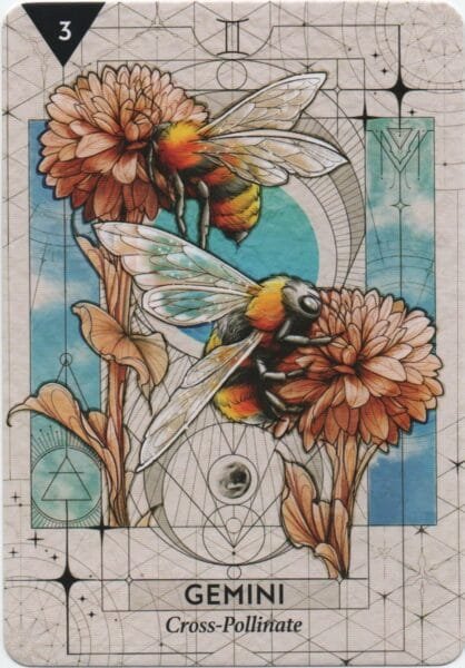 8 of Swords: Jupiter in Gemini: Disruption in Pattern Expansion - 10 Gemini - Cross Pollinate - StarCodes Astro Oracle