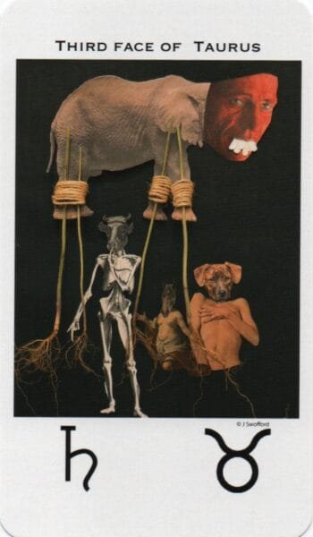 7 of Pentacles: Saturn in Taurus: Overthinking Creates Failure - 2 Taurus 3 - Saturn in Taurus - Decan Walk
