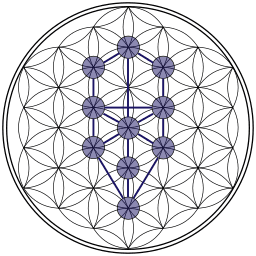 Tree of Life within Flower of Life - Kabbala + Sacred Geometry