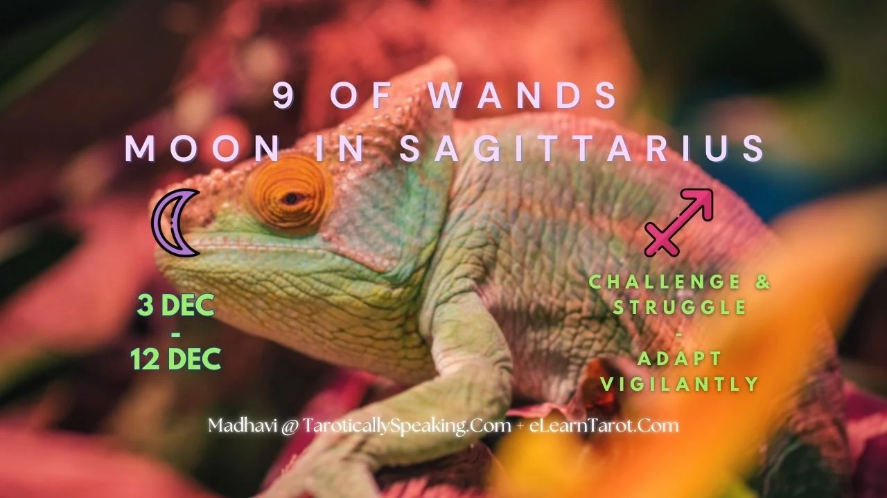 9 of Wands - Moon in Sagittarius - Challenge & Struggle - Adapt Vigilantly