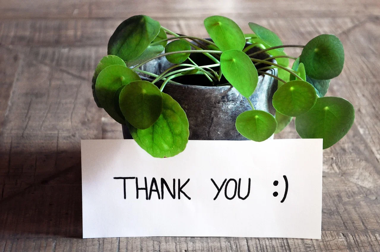 Testimonials for Tarot Workshops and Courses - 1 Testimonials for Tarot Workshops and Courses