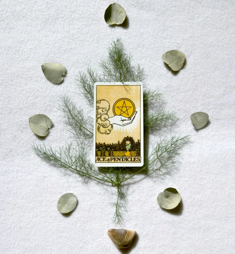 Tarot Card Reading + Learn How to Read Tarot Cards - 1 Tarot Card Reading + Learn How to Read Tarot + Mentoring