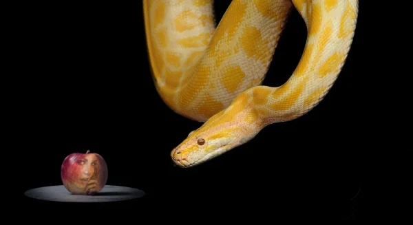 What The Devil? - 4 The Devil as a Snake